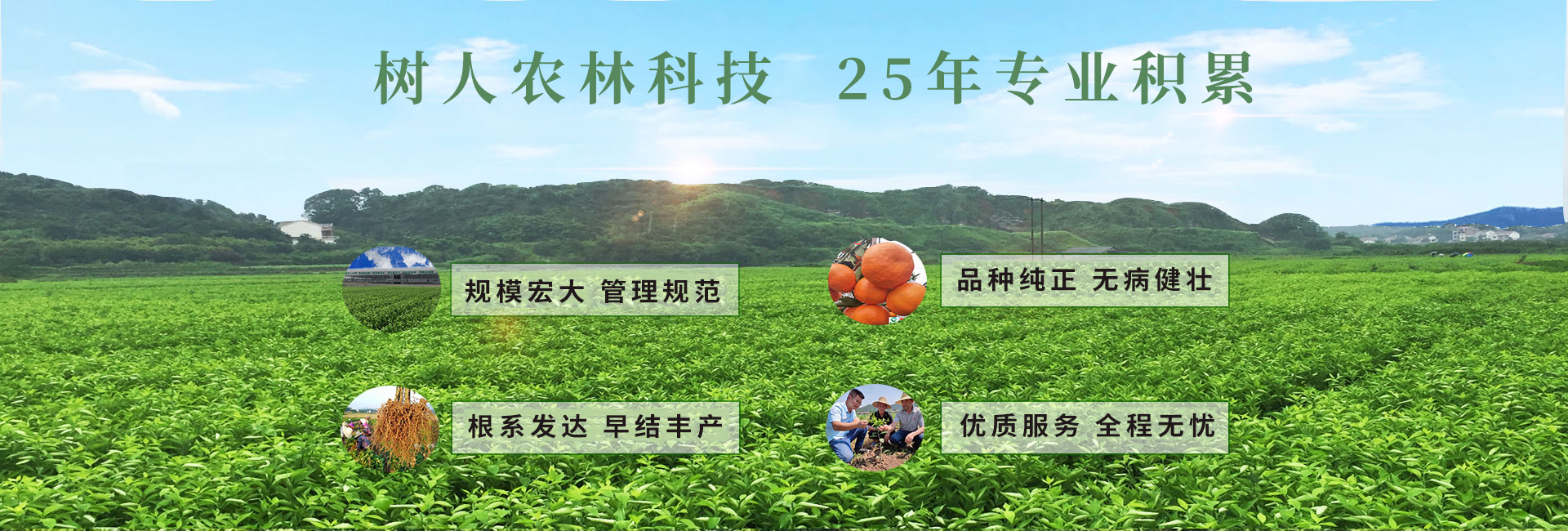 湖南樹(shù)人農(nóng)林科技有限公司_樹(shù)人農(nóng)林丨樹(shù)人農(nóng)業(yè)丨農(nóng)業(yè)科技丨現(xiàn)代農(nóng)業(yè)丨柑橘丨柑橘苗木丨果樹(shù)苗木丨綠化苗木丨種子種苗丨田園綜合體丨鄉(xiāng)村旅游丨觀(guān)光休閑等 湖南樹(shù)人農(nóng)林科技有限公司_樹(shù)人農(nóng)林丨樹(shù)人農(nóng)業(yè)丨農(nóng)業(yè)科技丨現(xiàn)代農(nóng)業(yè)丨柑橘丨柑橘苗木丨果樹(shù)苗木丨綠化苗木丨種子種苗丨田園綜合體丨鄉(xiāng)村旅游丨觀(guān)光休閑等